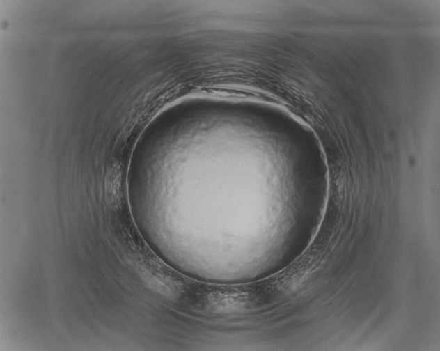 X0000062170745200512161251