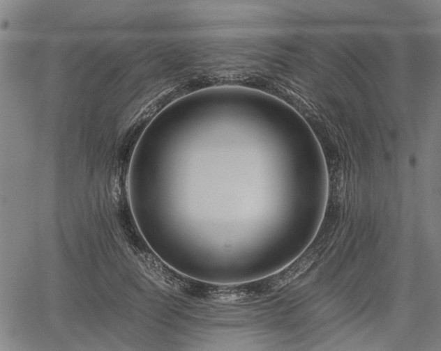 X0000062170746200512161251