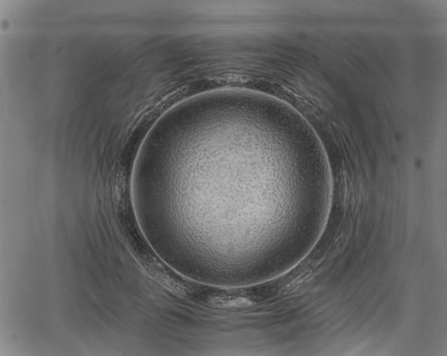 X0000062170747200512161251