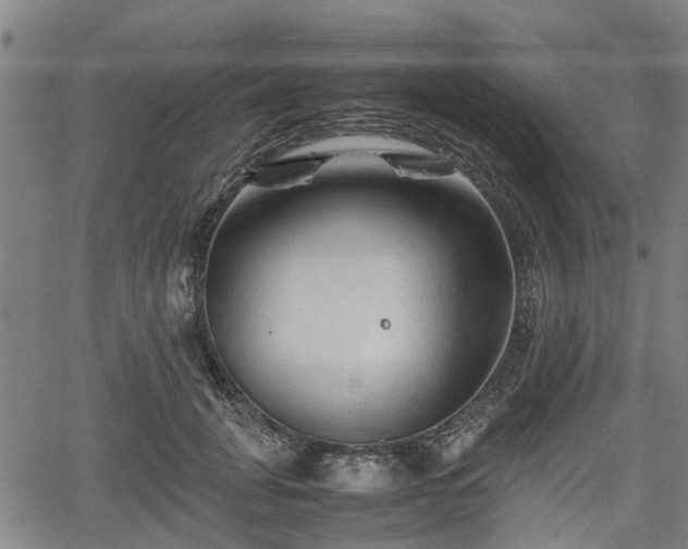 X0000062170751200512161251