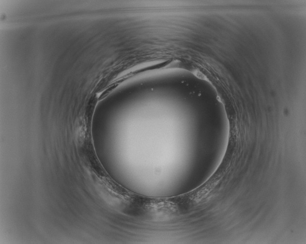 X0000062170752200512161251