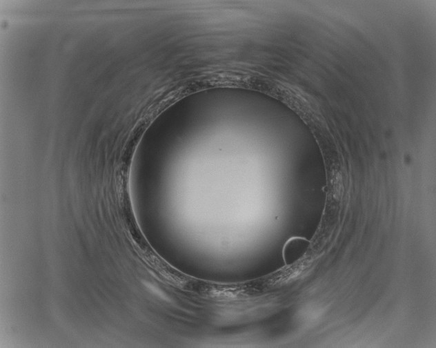 X0000062170753200512161251