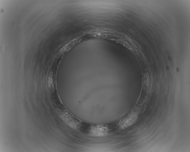 X0000062170754200512161251