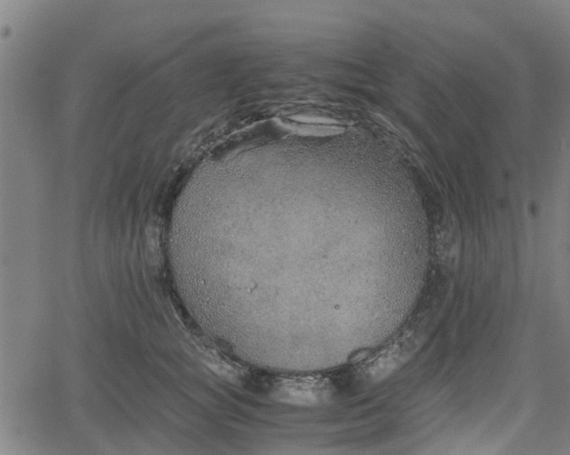 X0000062170757200512161251