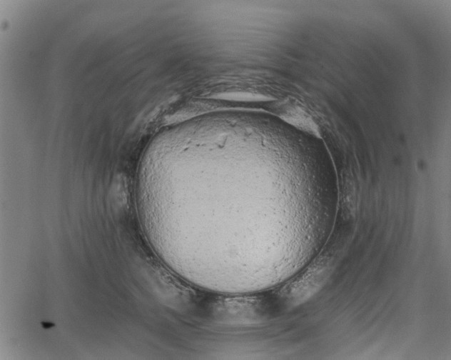 X0000062170758200512161251