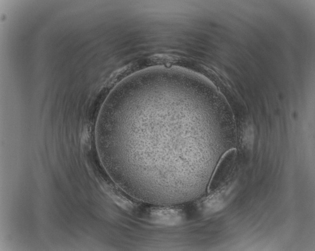 X0000062170759200512161251