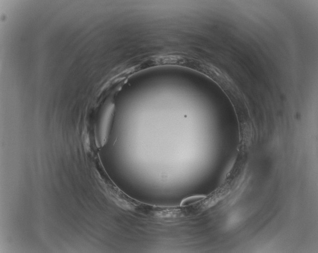 X0000062170761200512161251