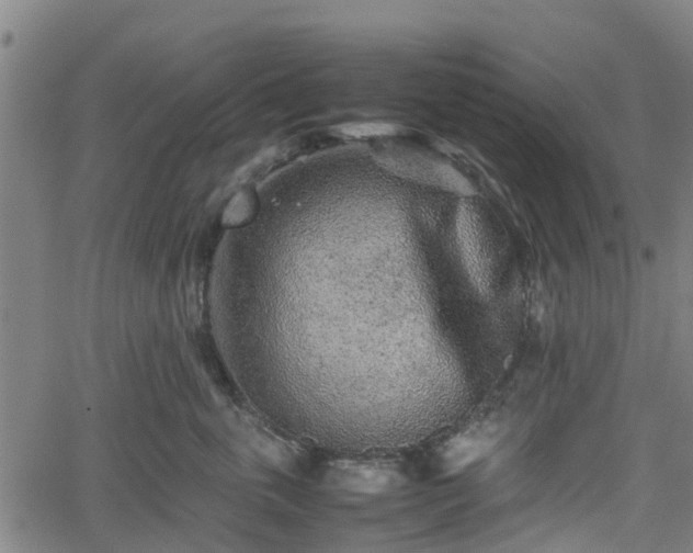 X0000062170763200512161251