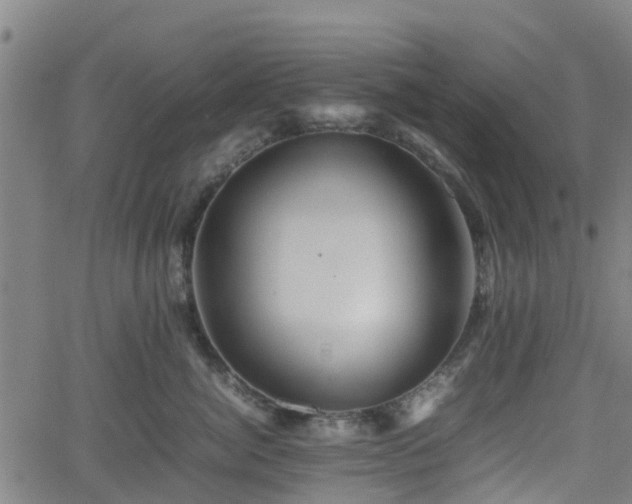 X0000062170764200512161251