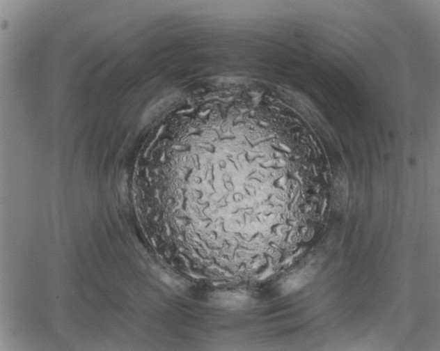 X0000062170765200512161251