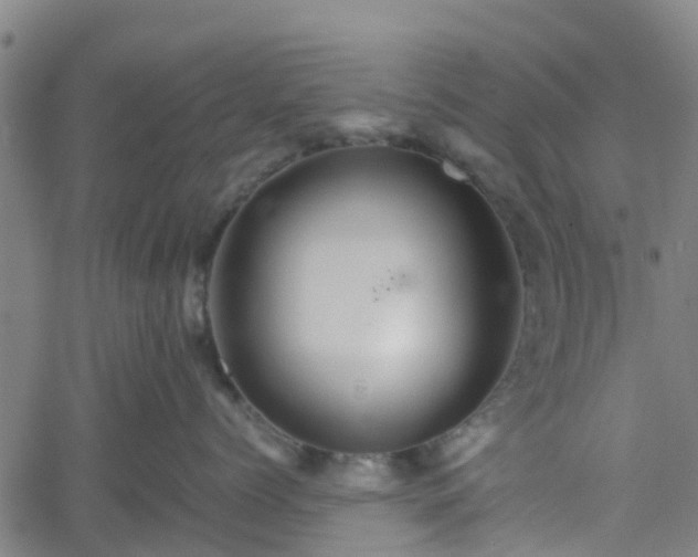 X0000062170768200512161251