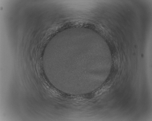 X0000062170769200512161250