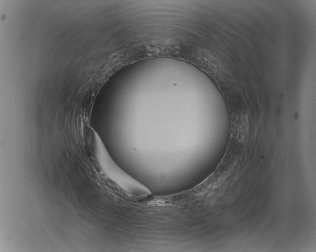 X0000062170770200512161250