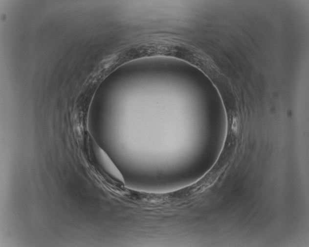 X0000062170771200512161250