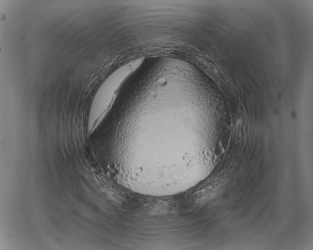 X0000062170772200512161250