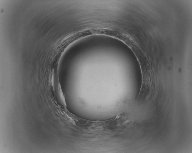 X0000062170773200512161250