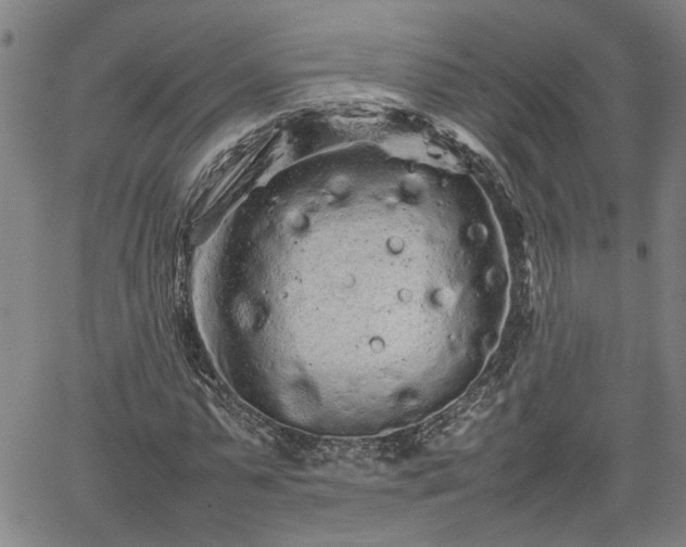 X0000062170775200512161250