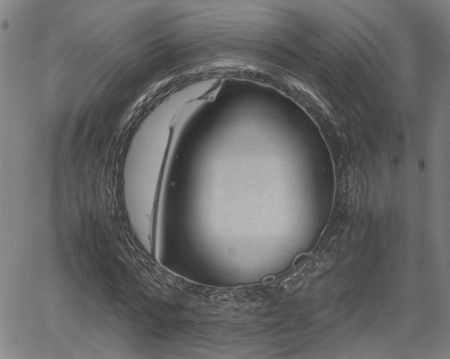 X0000062170776200512161250