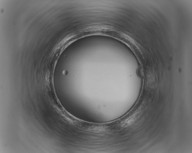 X0000062170778200512161250