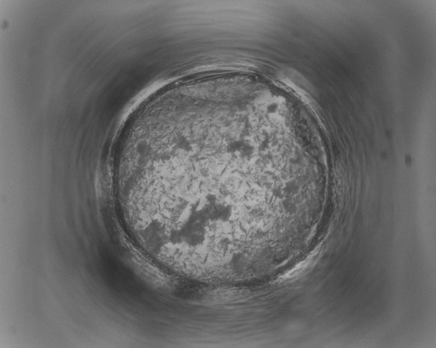 X0000062170779200512161250