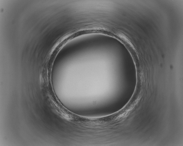 X0000062170781200512161250