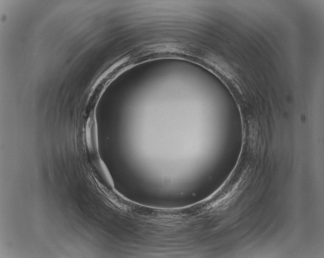 X0000062170782200512161250