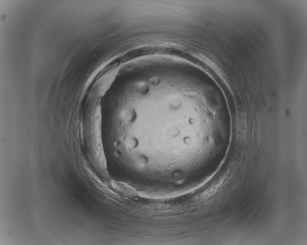 X0000062170783200512161250