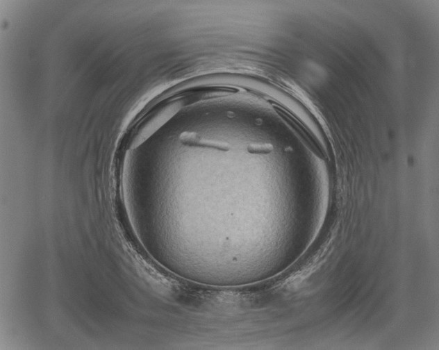 X0000062170787200512161250