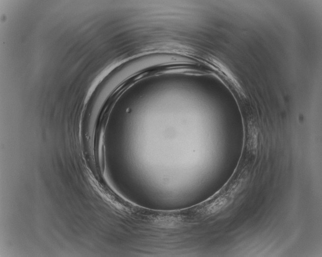 X0000062170788200512161250