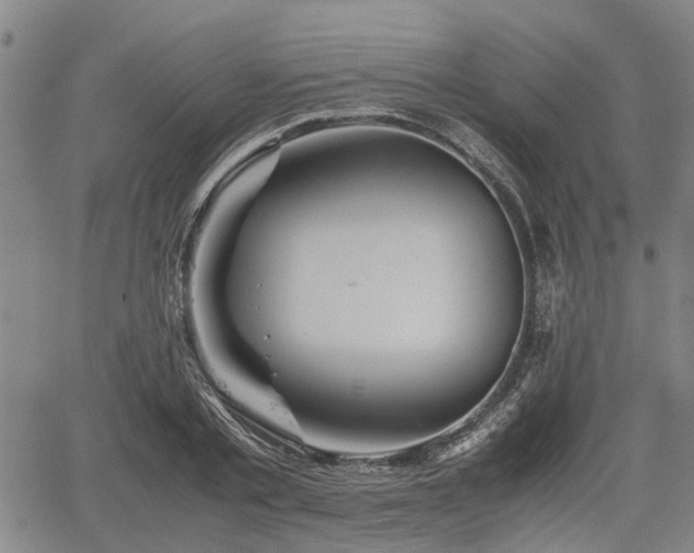 X0000062170789200512161250