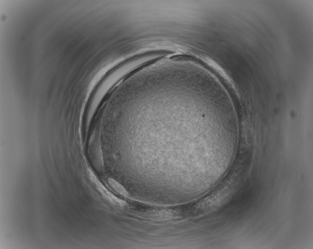 X0000062170791200512161250