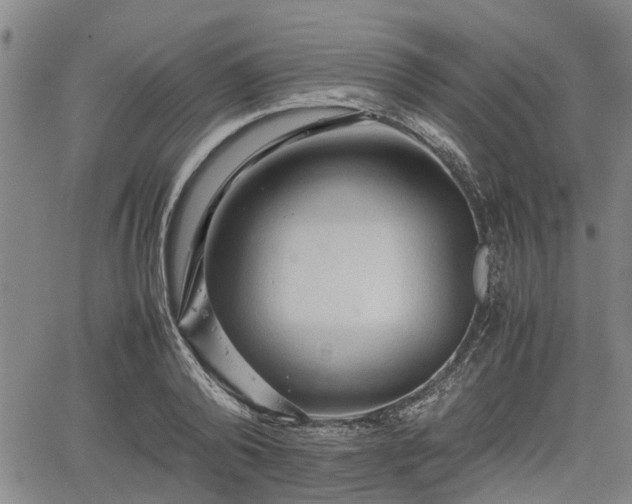 X0000062170792200512161250