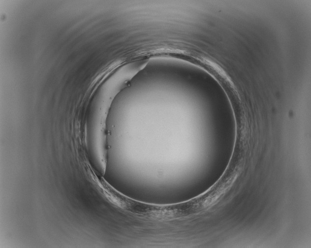 X0000062170793200512161250