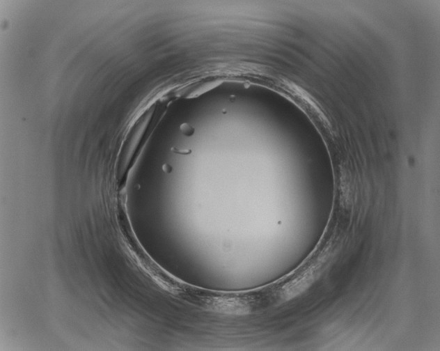 X0000062170794200512161250