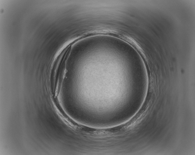 X0000062170795200512161250