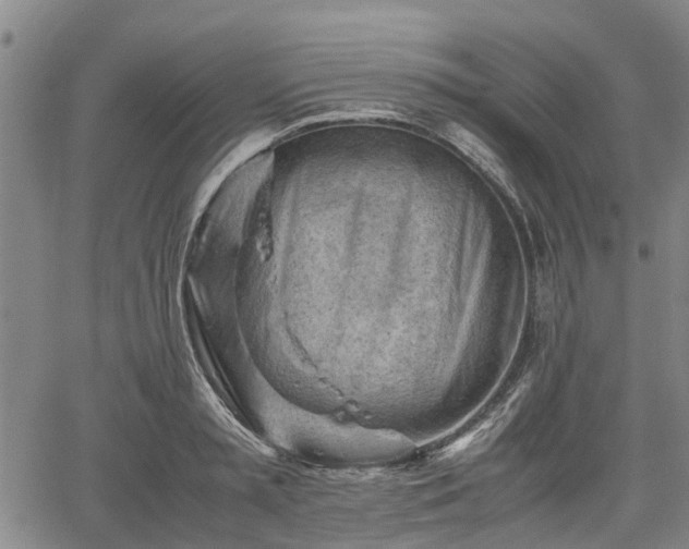 X0000062170797200512161250