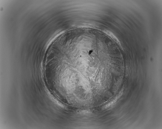 X0000062170798200512161250