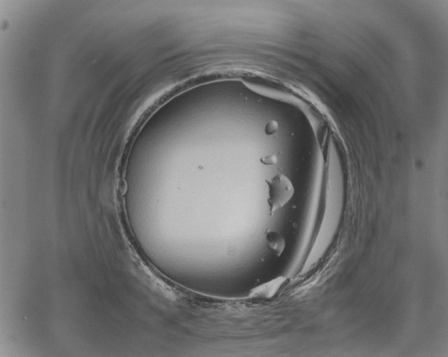 X0000062170799200512161250