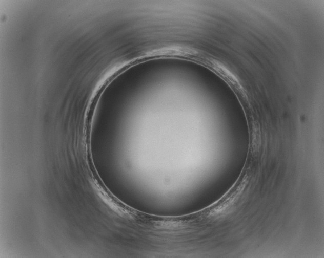 X0000062170800200512161250