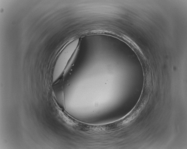 X0000062170801200512161250