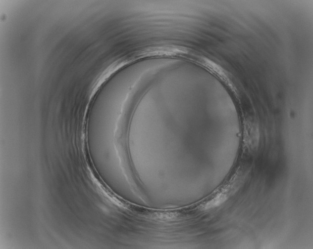 X0000062170802200512161250