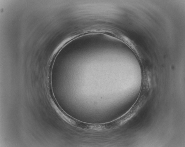 X0000062170803200512161250