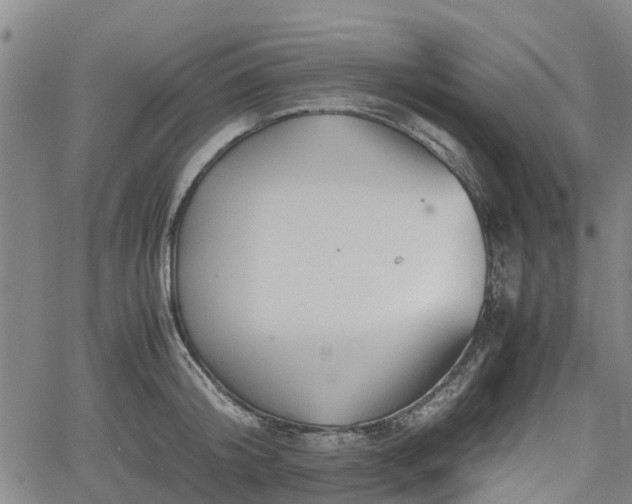 X0000062170804200512161250