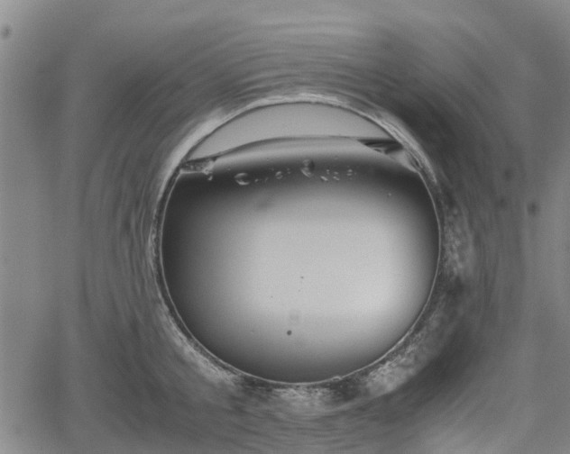 X0000062170805200512161250