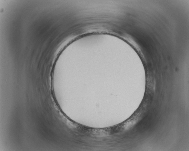 X0000062170807200512161250