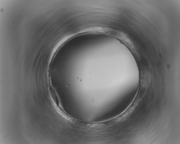 X0000062170808200512161249