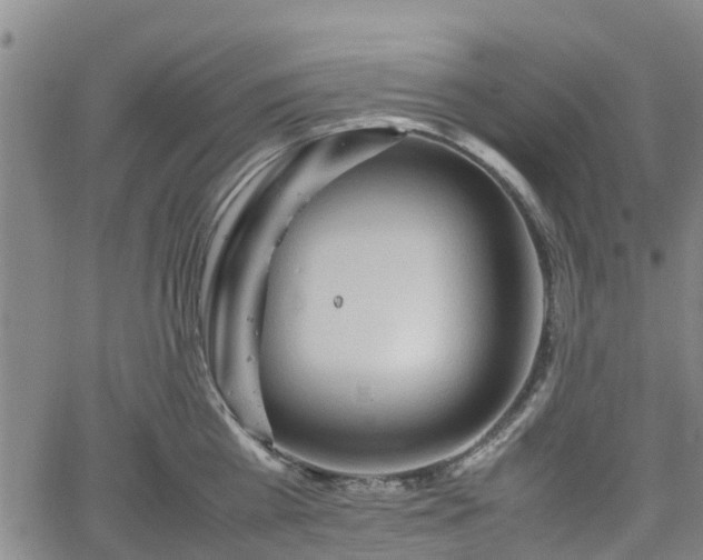 X0000062170809200512161249