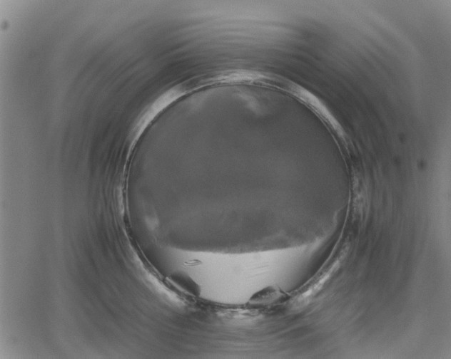 X0000062170810200512161249