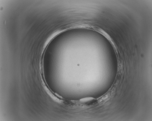 X0000062170811200512161249