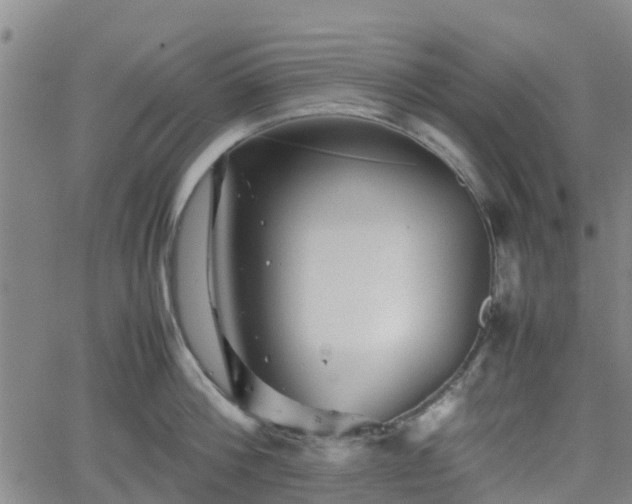 X0000062170812200512161249